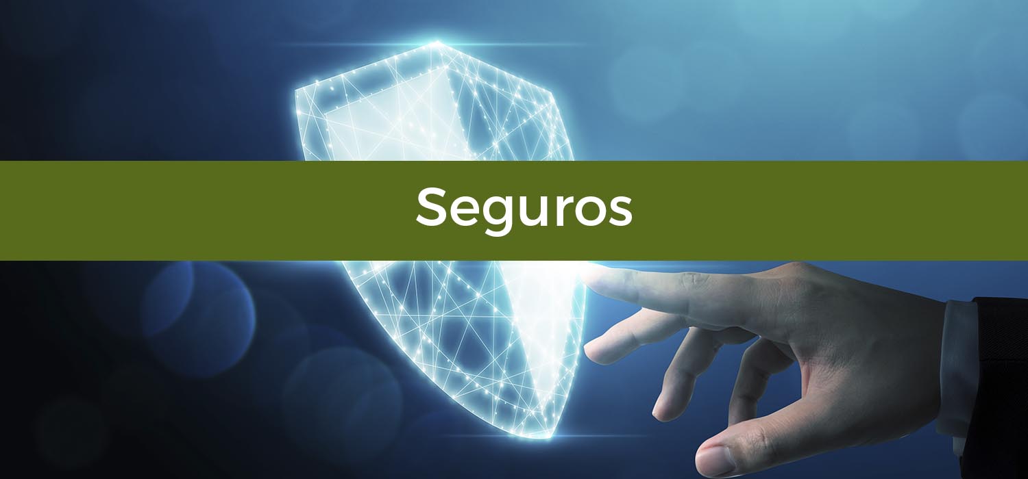 Tema 9. Seguros