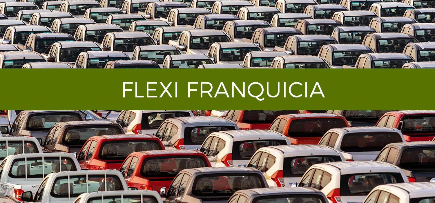 Tema 4. Flexi Franquicia